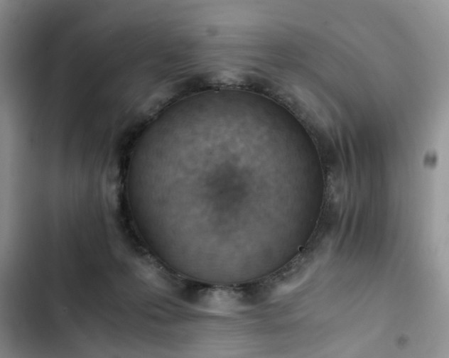 X0000102760223200808251036