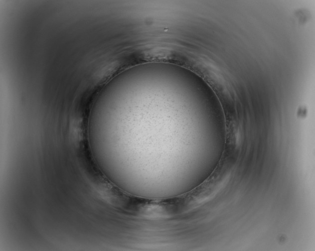 X0000102760224200808251036