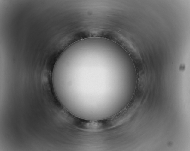 X0000102760225200808251036