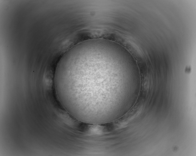 X0000102760226200808251036