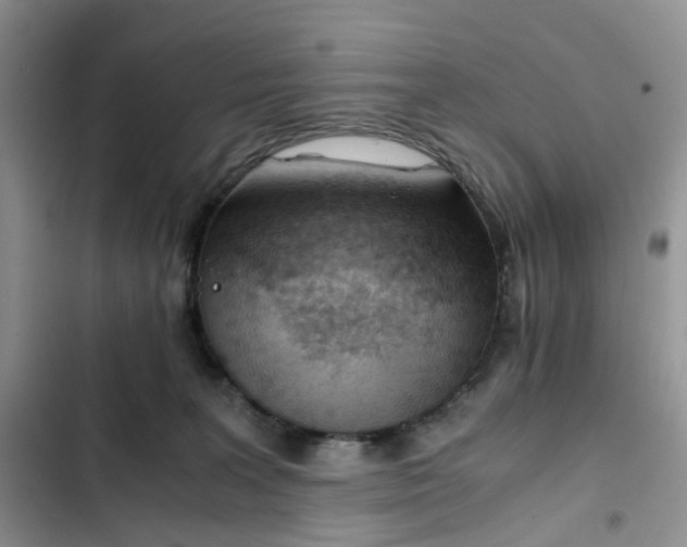 X0000102760227200808251036