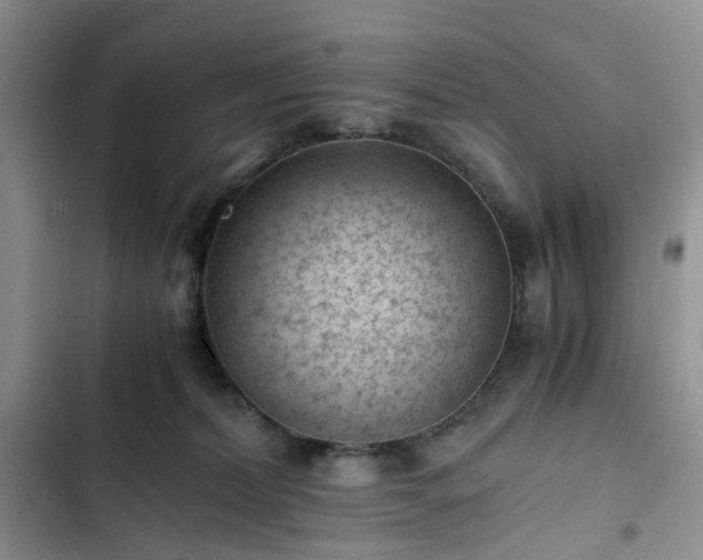 X0000102760228200808251036