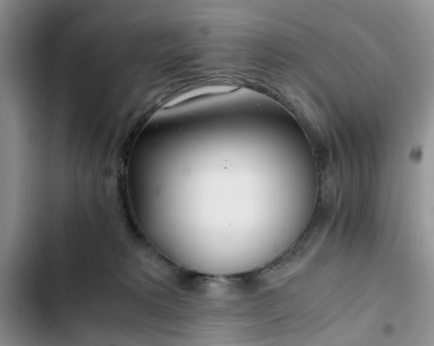 X0000102760229200808251036