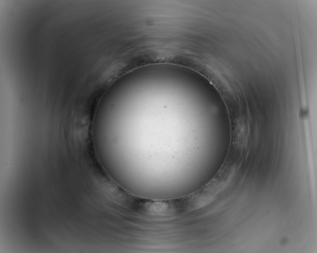 X0000102760230200808251036