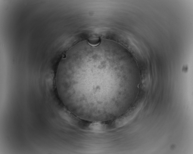 X0000102760231200808251036