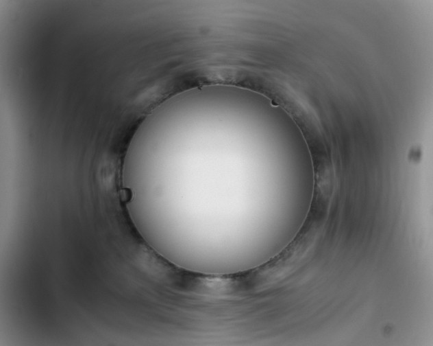 X0000102760233200808251036