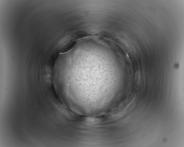 X0000102760234200808251036