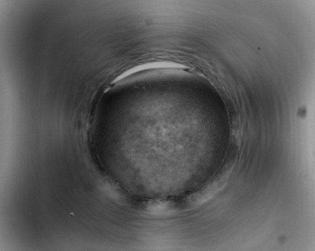 X0000102760235200808251036