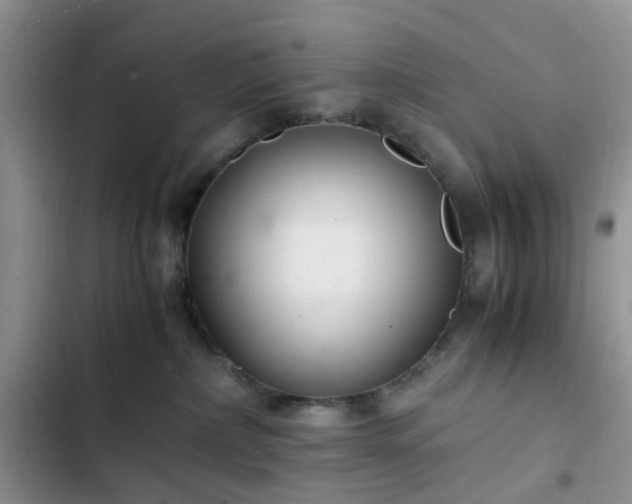 X0000102760236200808251036