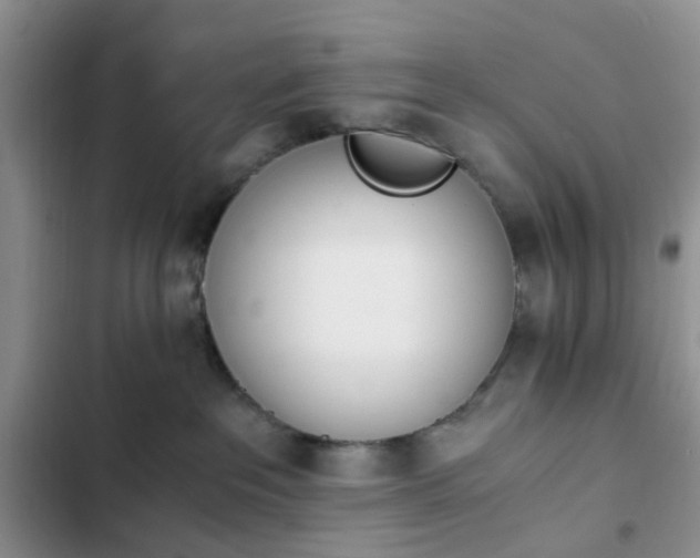 X0000102760237200808251036