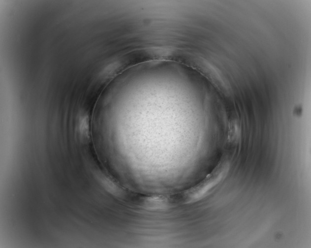 X0000102760238200808251036