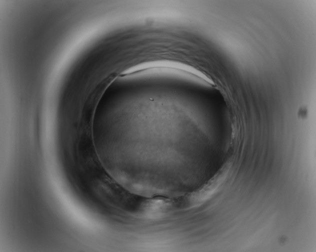 X0000102760239200808251036