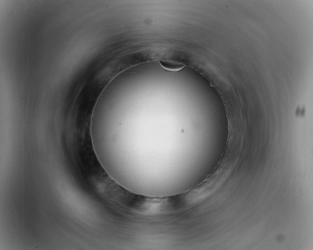 X0000102760240200808251036