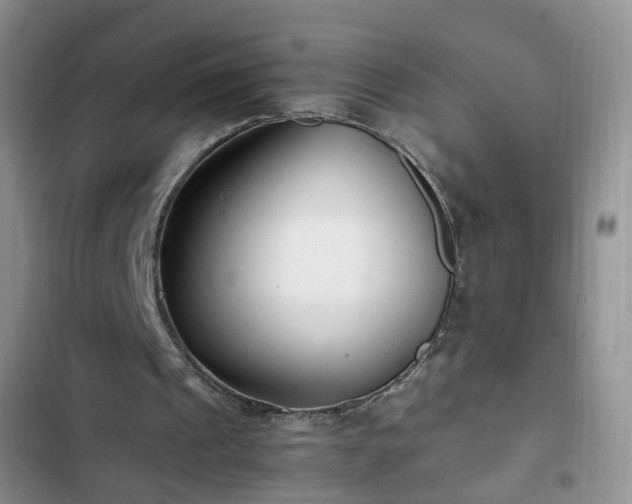 X0000102760241200808251035