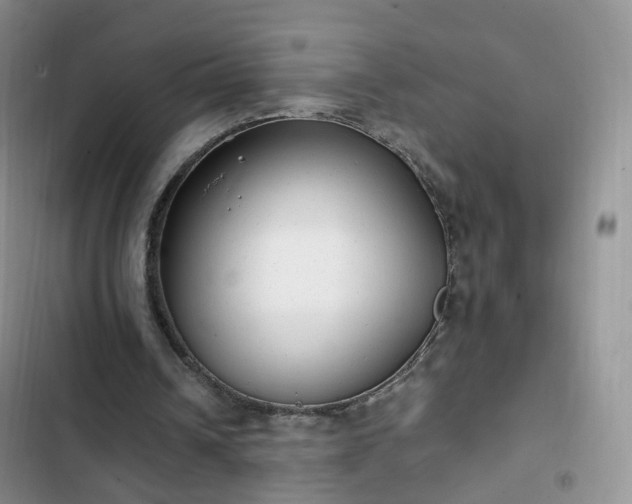 X0000102760242200808251035