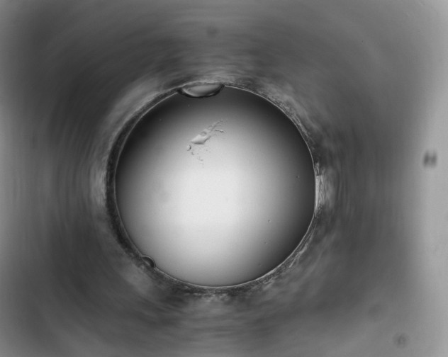 X0000102760243200808251035