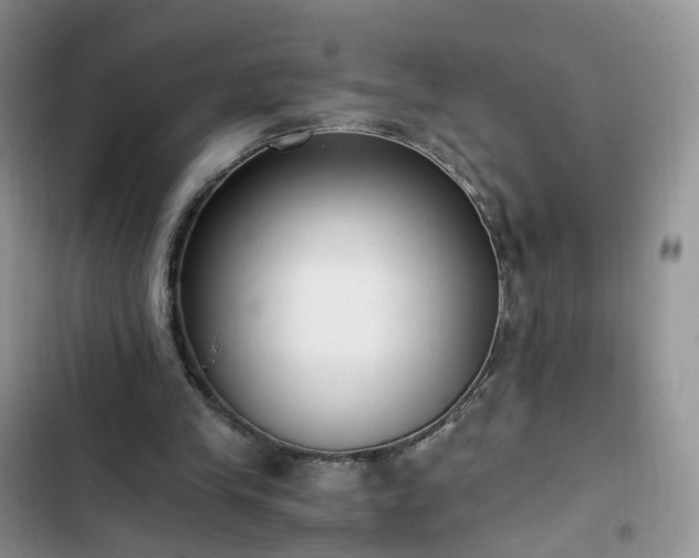 X0000102760245200808251035