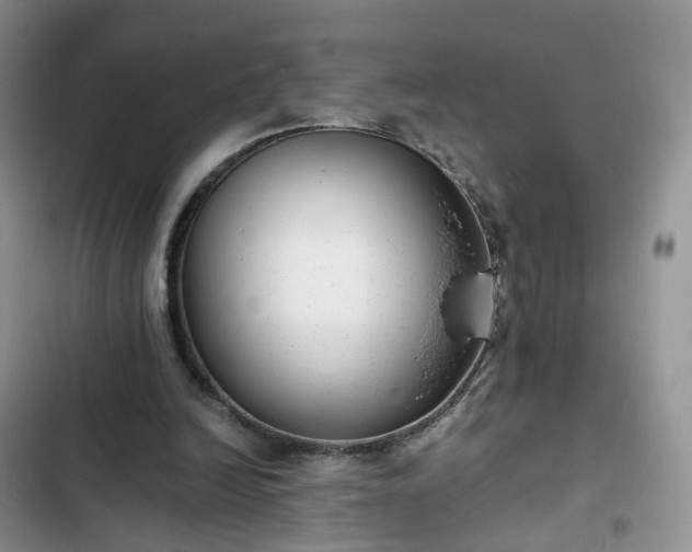 X0000102760246200808251035