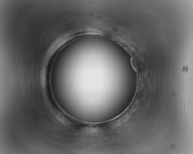 X0000102760247200808251035