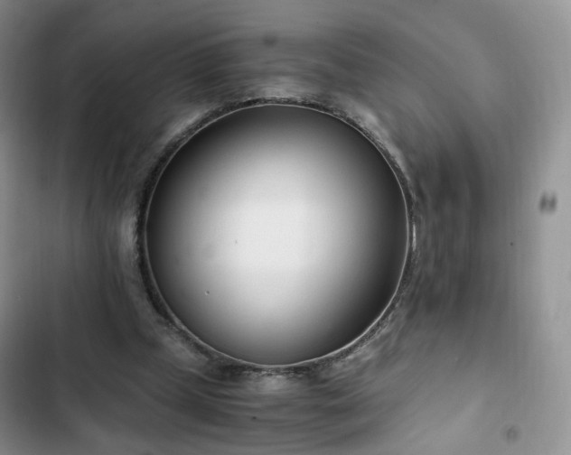 X0000102760249200808251035