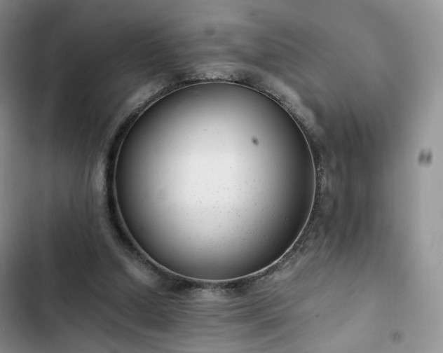 X0000102760250200808251035