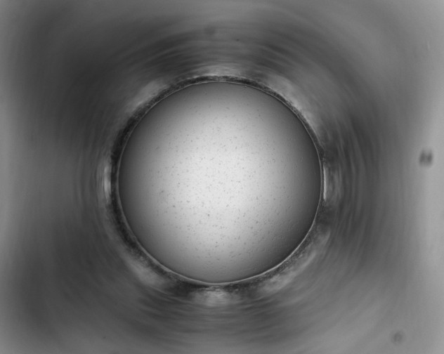 X0000102760253200808251035