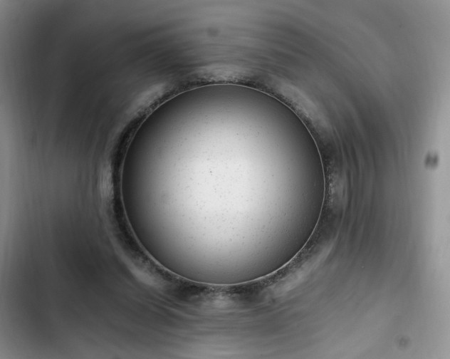 X0000102760254200808251035