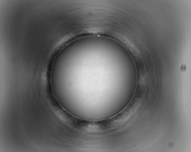 X0000102760256200808251035