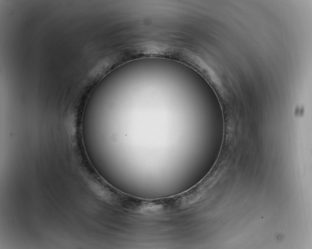 X0000102760257200808251035