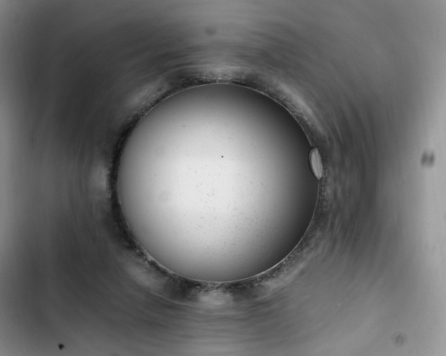 X0000102760258200808251035