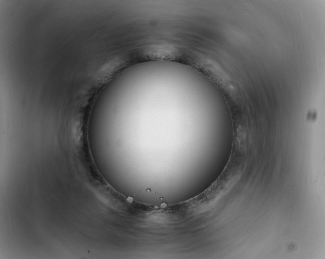 X0000102760259200808251035