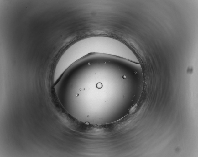 X0000102760260200808251035