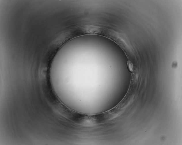 X0000102760263200808251035