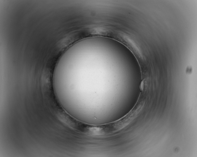 X0000102760265200808251035