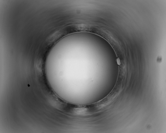 X0000102760266200808251035