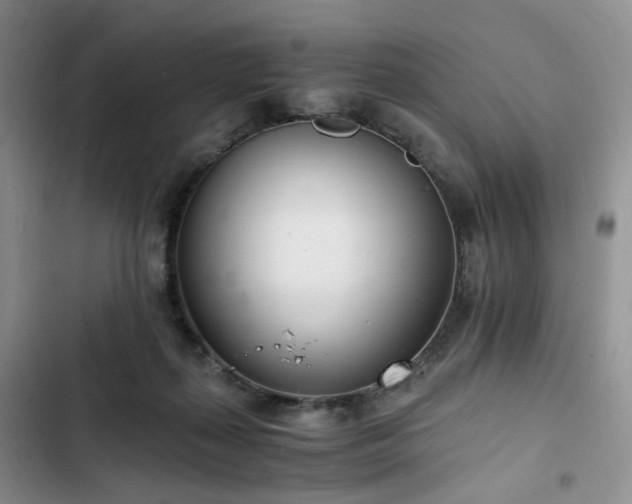 X0000102760267200808251035