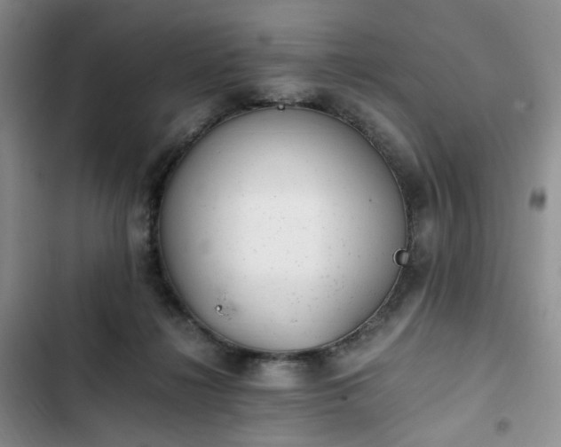 X0000102760268200808251035