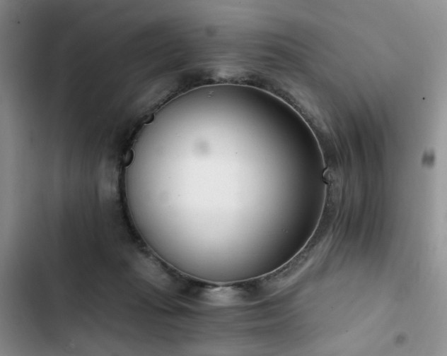 X0000102760269200808251035