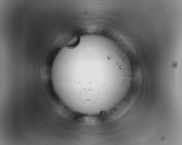 X0000102760272200808251035