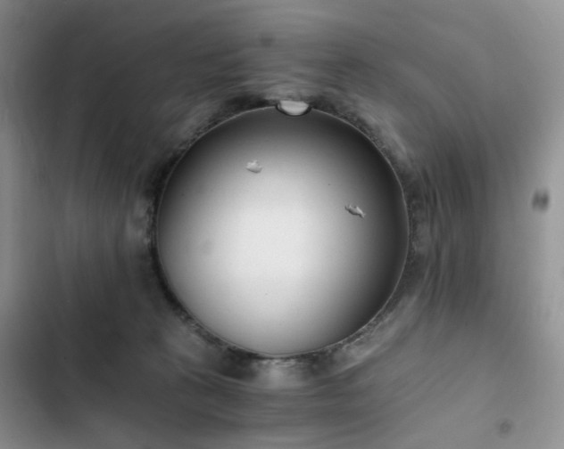 X0000102760273200808251035