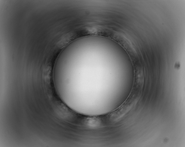 X0000102760275200808251035