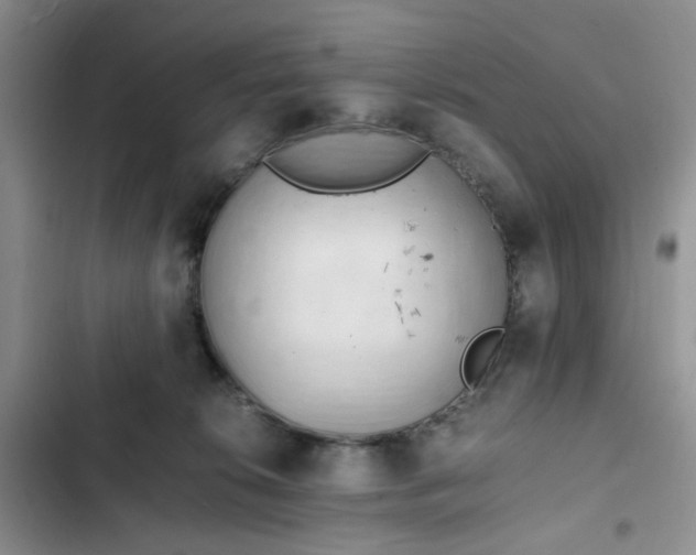 X0000102760276200808251035