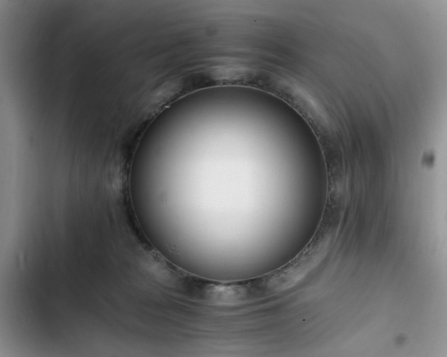 X0000102760277200808251035