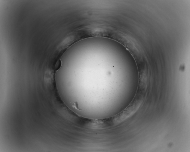 X0000102760278200808251035