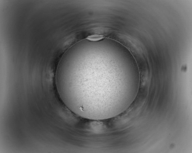 X0000102760279200808251035