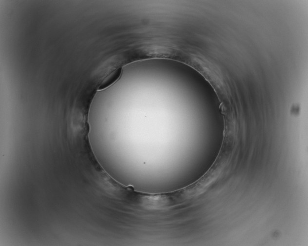 X0000102760281200808251036