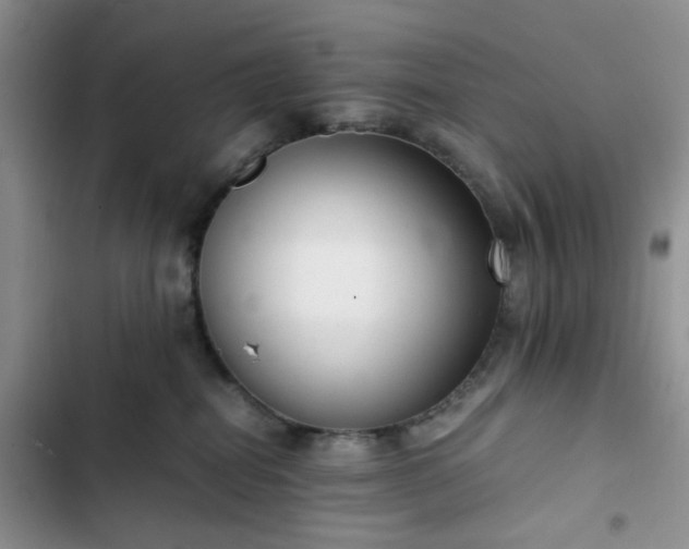 X0000102760282200808251036