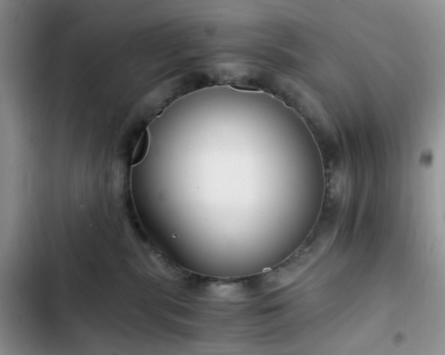 X0000102760283200808251036