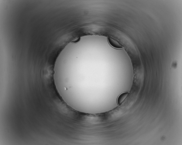 X0000102760284200808251036