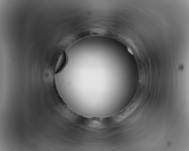 X0000102760285200808251036